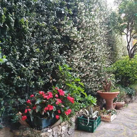 The Jasmine Yard Private Parking