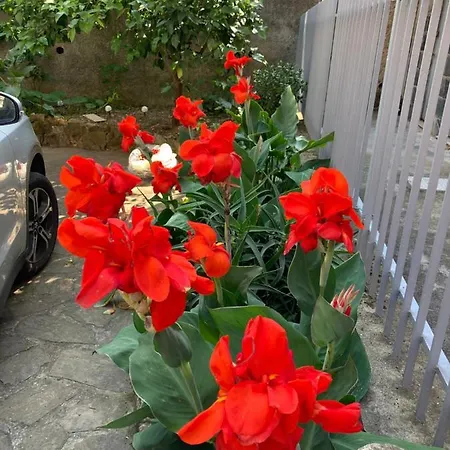The Jasmine Yard Private Parking Apartment Rapallo